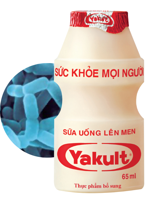 Yakult Viet Nam